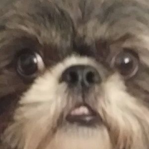 Meet your Posher, Juanita